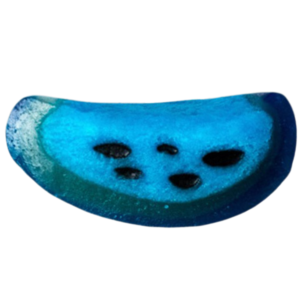 Blue Raspberry Slices Wholesale Bulk Box By Vidal