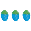 Vegan Sour Blue Raspberry Wholesale Bulk Box By Vidal